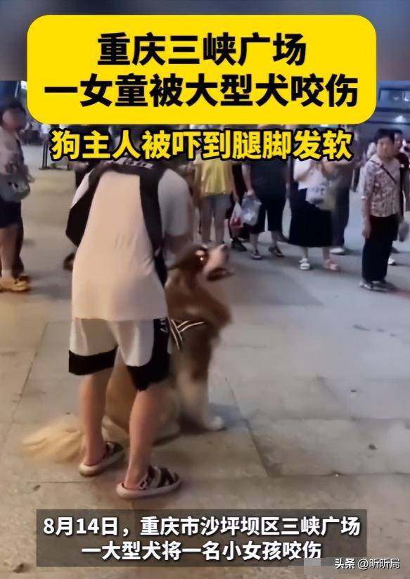 梦到狗咬我的腿没流血
