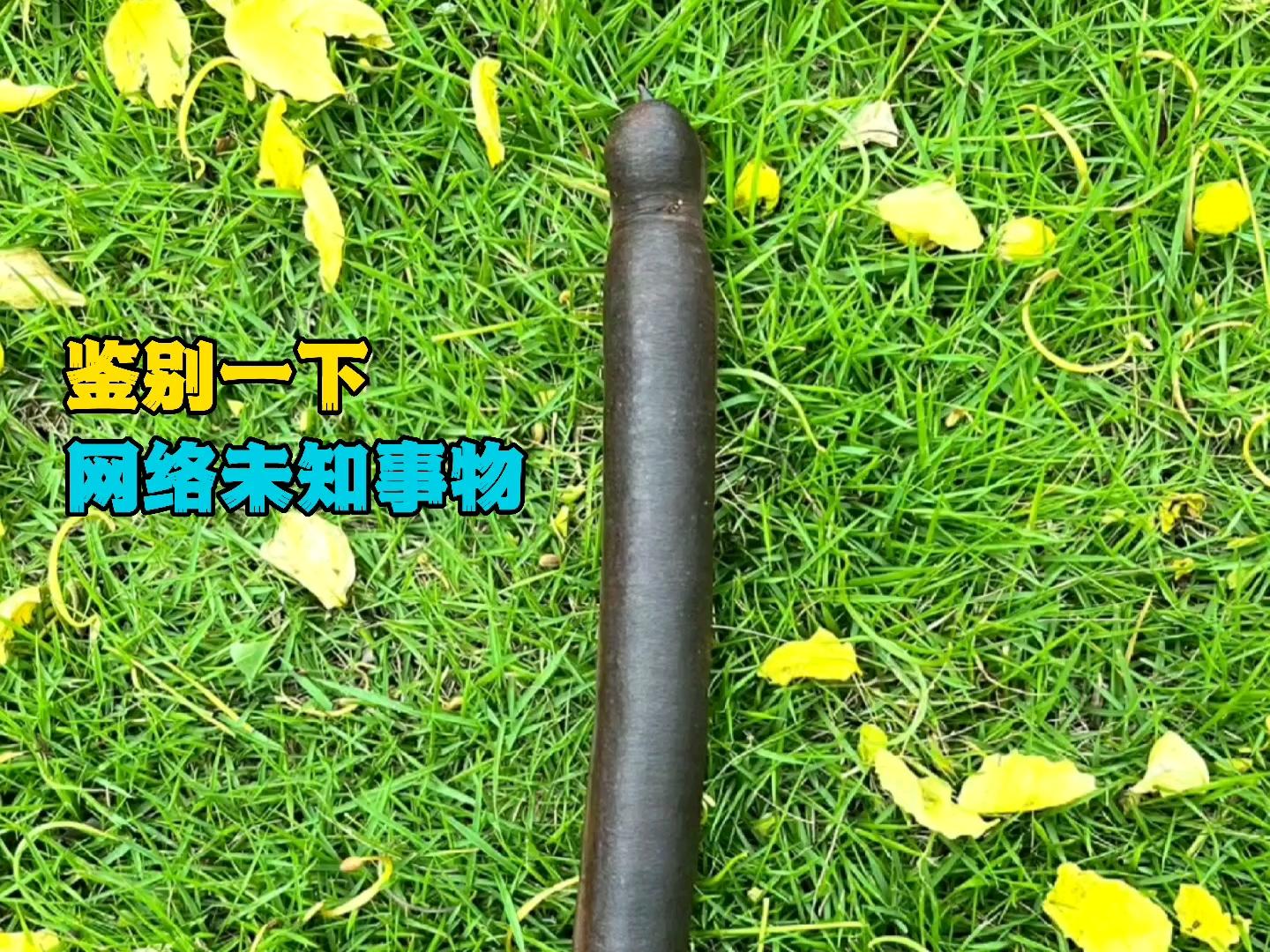 什么是物体